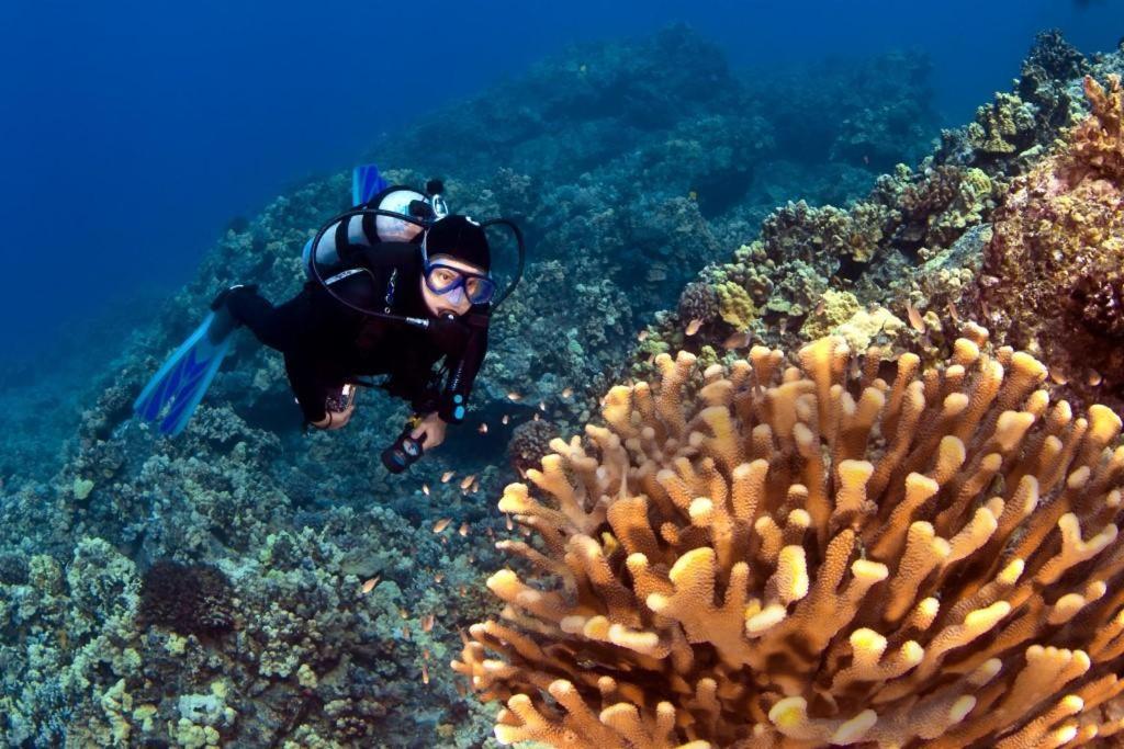 Royal Kahana - 106 - ภายนอก รูปภาพ